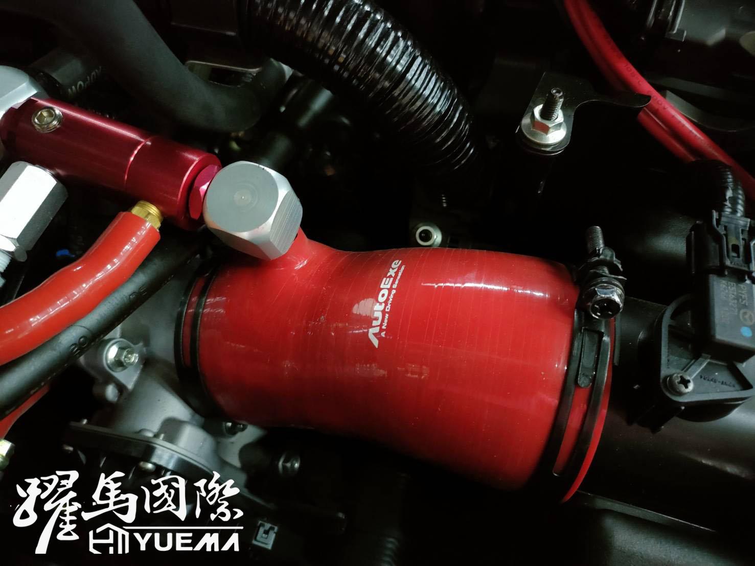 AutoExe 進氣肥腸