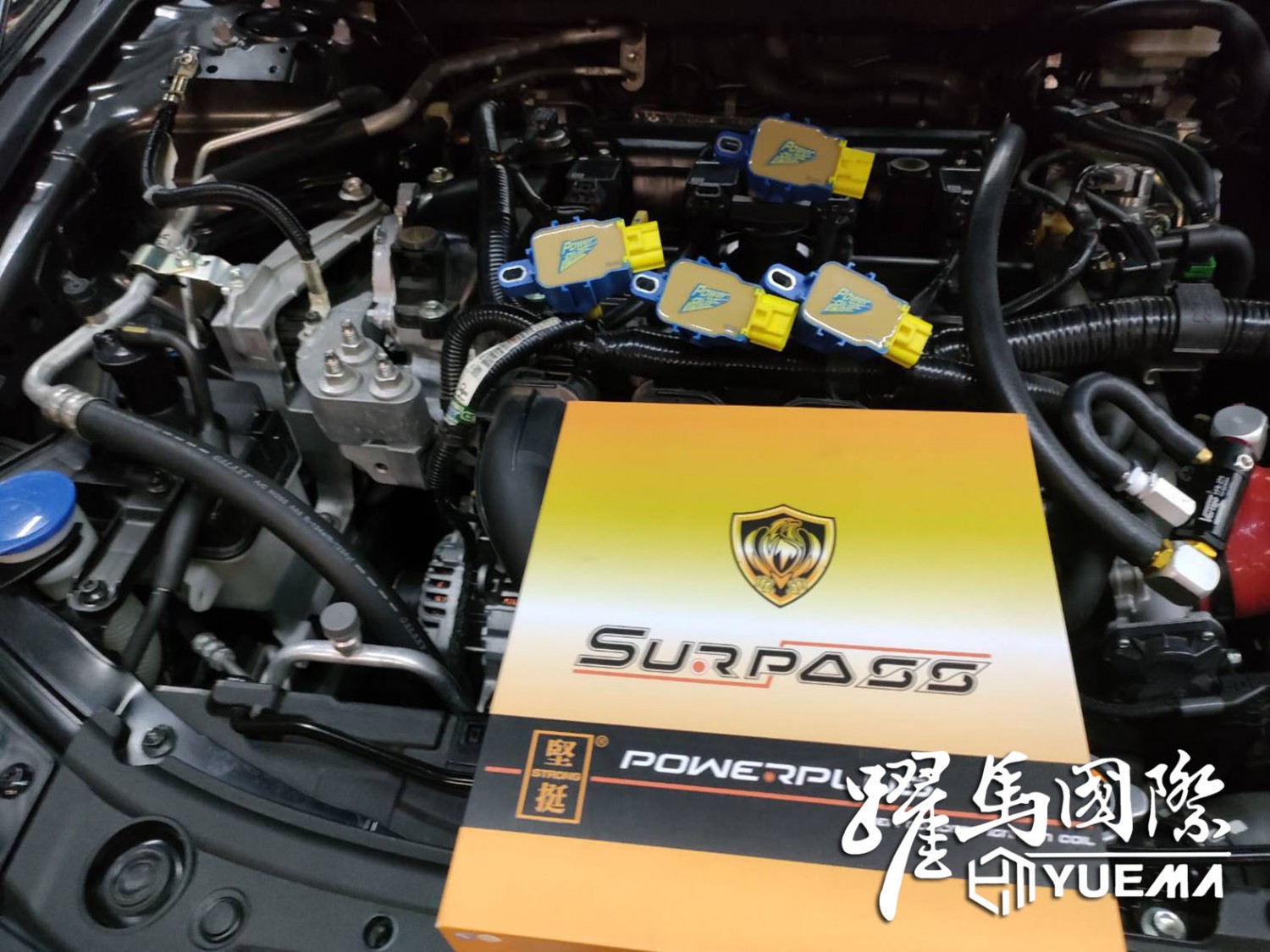 Surpass聖帕斯強化考爾 Surpass聖帕斯強化考爾